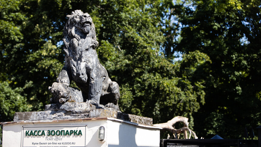 Зоопарк Калининграда стал временным членом Европейской ассоциации, куда пытался попасть в течение 20 лет - Новости Калининграда | Архив &quot;Клопс&quot;
