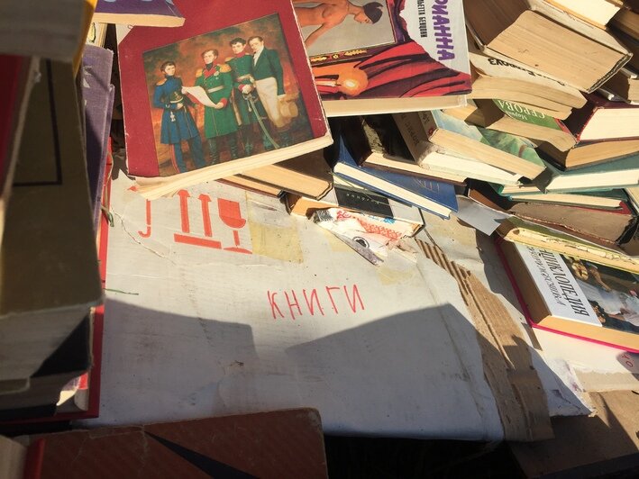 В Калининграде неизвестные выбросили десятки книг (фото) - Новости Калининграда | Александр Подгорчук / &quot;Клопс&quot;