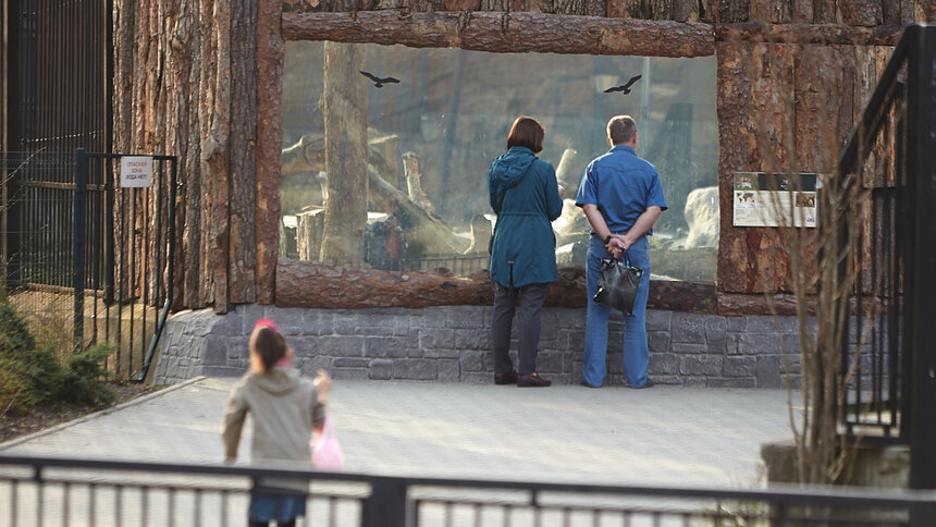 Калининградских пенсионеров бесплатно пустят в музей и проведут экскурсию по зоопарку - Новости Калининграда | Архив &quot;Клопс&quot;