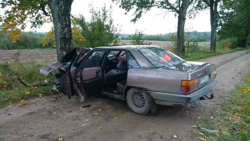 В Озёрском районе Audi врезался в дерево, пострадали два человека (фото) - Новости Калининграда | Фото: очевидец