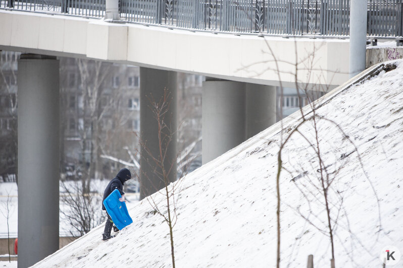 В Калининграде дети катаются со склона Второго эстакадного моста (фото) - Новости Калининграда | Фото: Александр Подгорчук