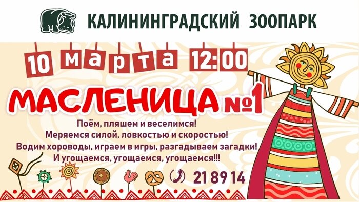 Калининградский зоопарк приглашает на весёлый и вкусный праздник — Масленицу - Новости Калининграда