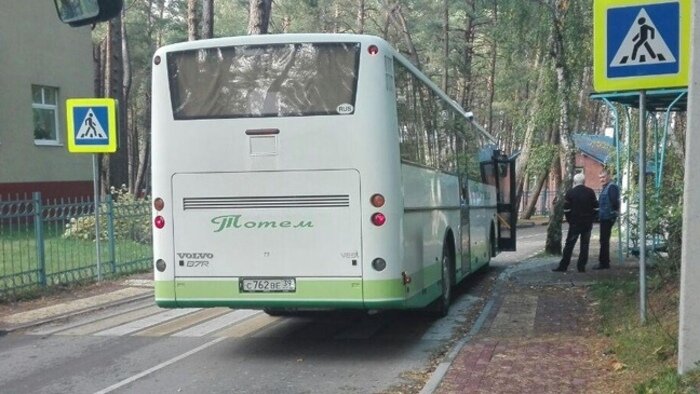 Третье место в антирейтинге: автобус на пешеходном переходе в Светлогорске | Фото: читатели &quot;Клопс&quot;