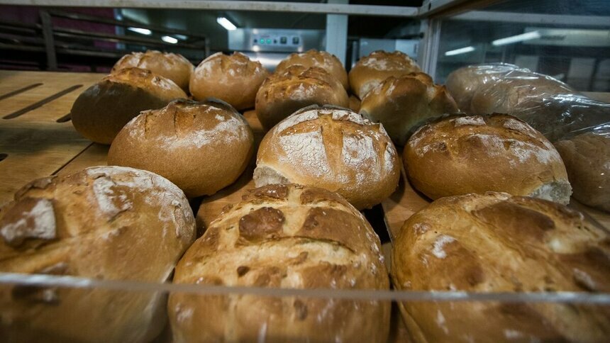 Назван самый полезный хлеб - Новости Калининграда | Архив &quot;Клопс&quot;