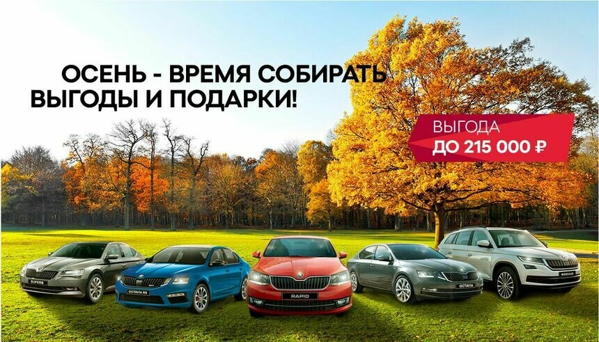 Весь октябрь клиентов компании &quot;ОТТО КАР&quot; ждёт отличный урожай выгод на новые автомобили ŠKODA - Новости Калининграда