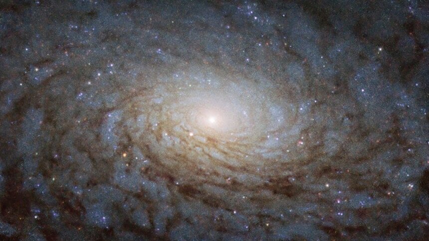 NASA опубликовало снимок галактики, похожей на портал в другое измерение (фото)   - Новости Калининграда | Фото: официальный сайт NASA