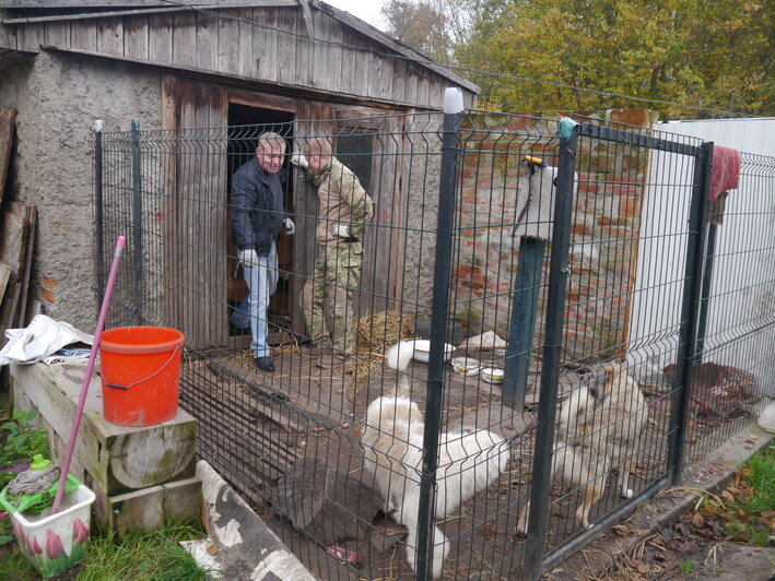 Субботник в калининградском приюте для животных посетили 25 человек (фото) - Новости Калининграда | Фото: приют &quot;Дружок&quot;