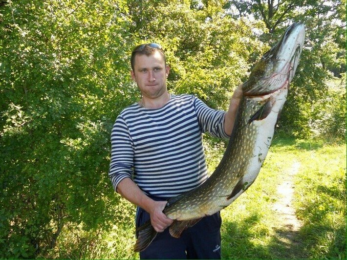 Щука 12,3 кг. Правдинск, река Лава | Фото: &quot;Рыбалка в Калининграде — Калининградский рыболов&quot;