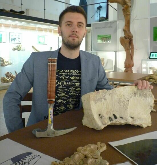 В Польше впервые нашли останки морских ящеров, живших более 152 млн лет назад - Новости Калининграда | Фото: Музей Земли ПАН в Варшаве