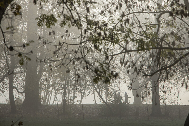 Сайлент Хилл в Калининграде: утренний туман в объективе фотографа "Клопс" - Новости Калининграда | Александр Подгорчук / &quot;Клопс&quot;