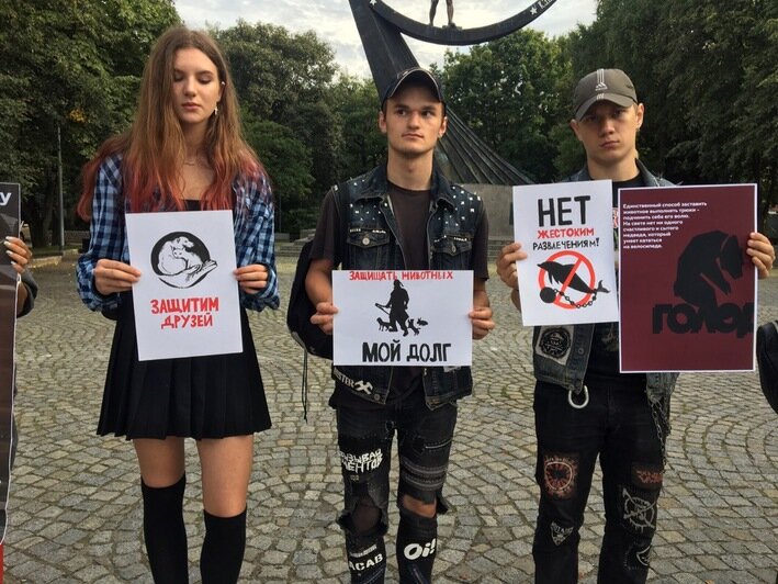 Фото: группа &quot;Калининград против жестокости&quot; / &quot;ВКонтакте&quot;