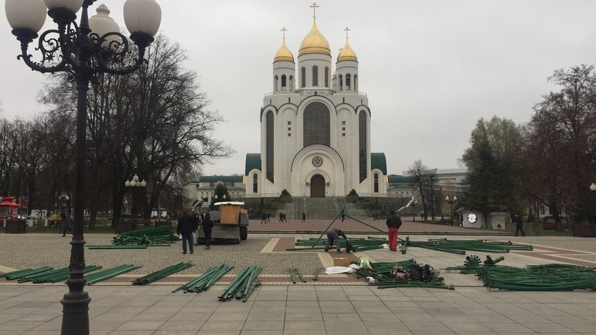В Калининграде начали монтировать главную новогоднюю ёлку  - Новости Калининграда | Александр Подгорчук / &quot;Клопс&quot;