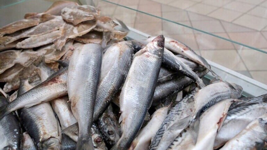 С борта судна — покупателю: где купить рыбу по низкой цене  - Новости Калининграда