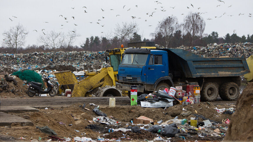 Инструкция &quot;Клопс&quot;: как будут вывозить мусор в новогодние праздники - Новости Калининграда
