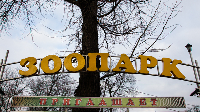 Калининградский зоопарк закрыли из-за штормового предупреждения