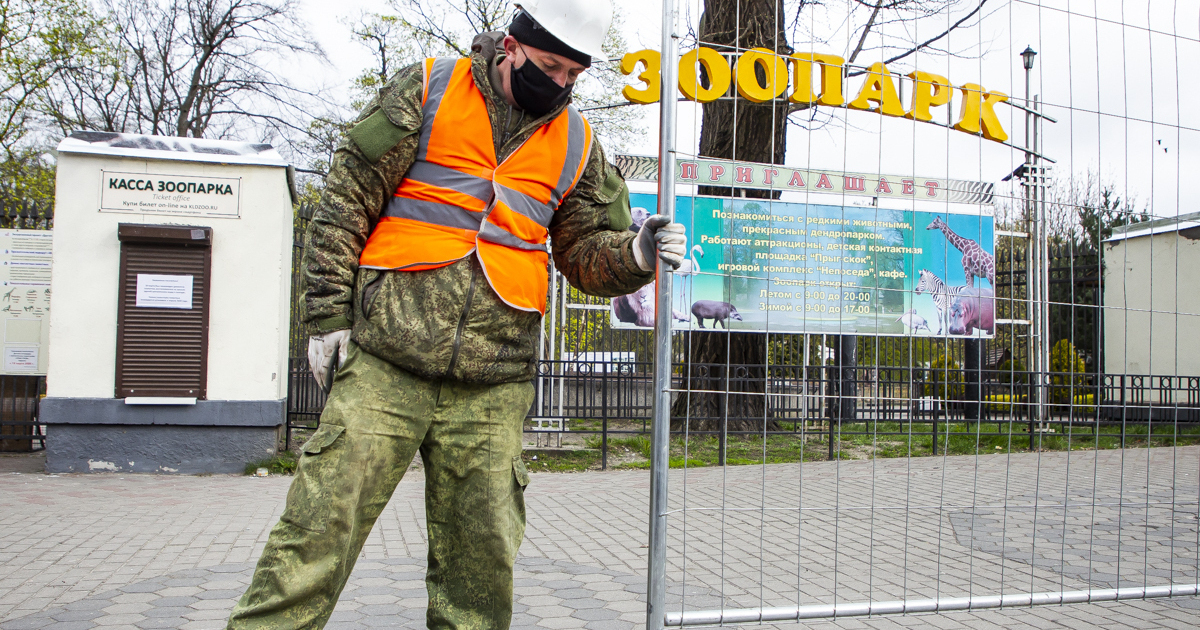 Однажды в московском зоопарке разбилось стекло. Директор Калининградского зоопарка. Колледж возле зоопарка Калининград.