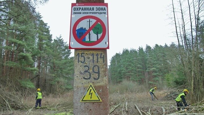 &quot;Россети Янтарь&quot; напоминают: пал травы может привести к отключению электроэнергии  - Новости Калининграда