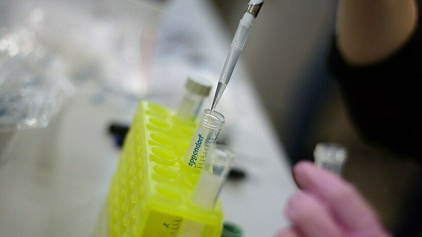 В России за сутки зарегистрировали 601 новый случай коронавируса - Новости Калининграда | Архив &quot;Клопс&quot;