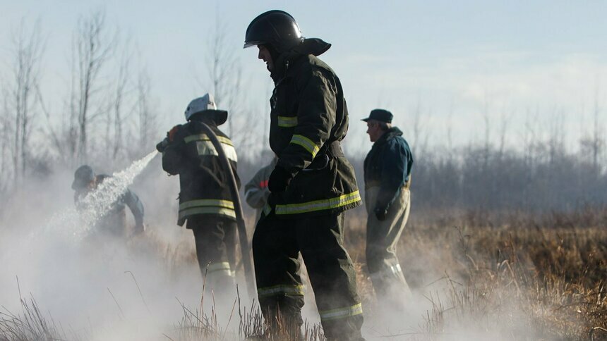 В Калининградской области пожарные 44 раза за сутки выезжали на палы травы   - Новости Калининграда | Архив &quot;Клопс&quot;