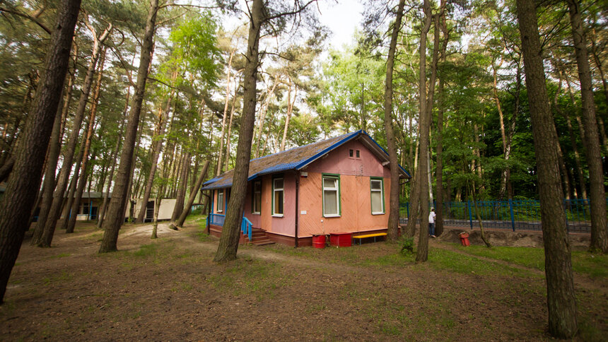 С первого июля и без визитов родителей: как будут работать детские лагеря в Калининградской области  - Новости Калининграда | Архив &quot;Клопс&quot;