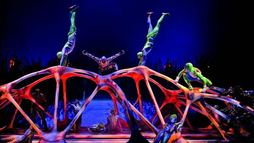 Cirque du Soleil покажет лучшие моменты трёх шоу - Новости Калининграда | Кадр из шоу Totem