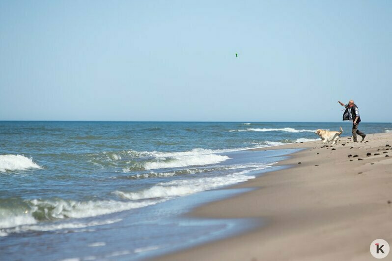 Как выглядит пляж в Янтарном в первый день лета без туристов (фоторепортаж) - Новости Калининграда | Фото: Александр Подгорчук / &quot;Клопс&quot;