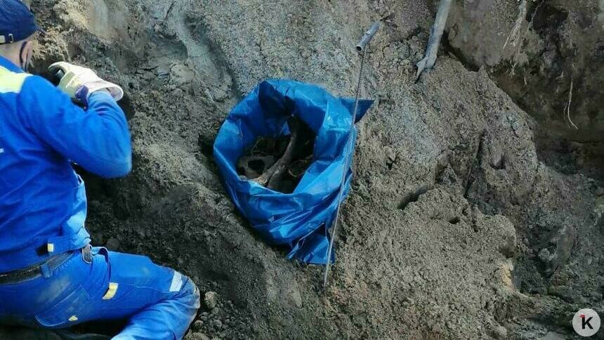 На Дачной при строительстве дороги нашли человеческие останки (фото, видео) - Новости Калининграда | Фото: очевидец