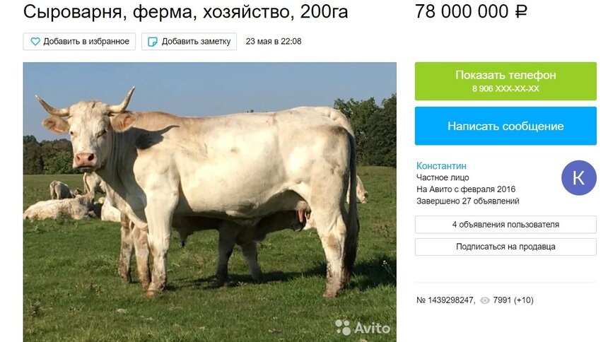 В области продают фермерское хозяйство с сыроварней - Новости Калининграда | Скриншот сайта Avito
