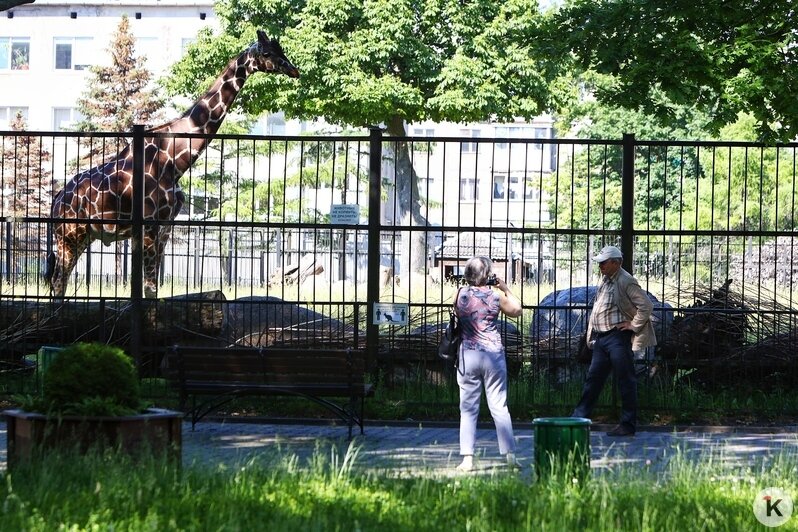 Калининградский зоопарк принял первых посетителей после карантина (фоторепортаж) - Новости Калининграда | Фото: Александр Подгорчук / &quot;Клопс&quot;
