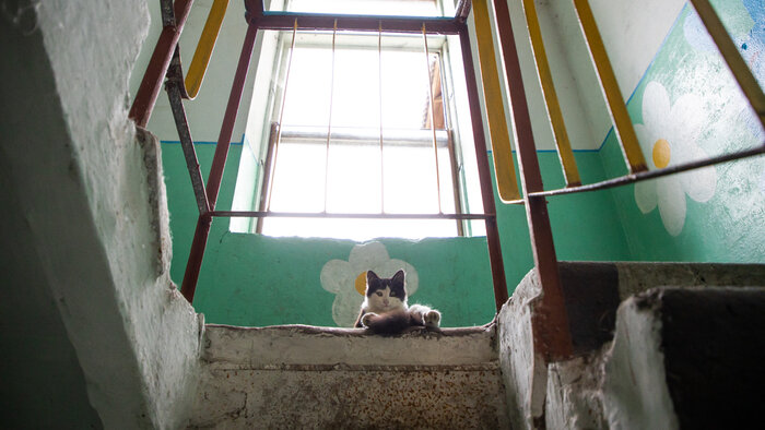 Местный колорит в однотипной двухэтажке  | Фото: Александр Подгорчук / &quot;Клопс&quot;
