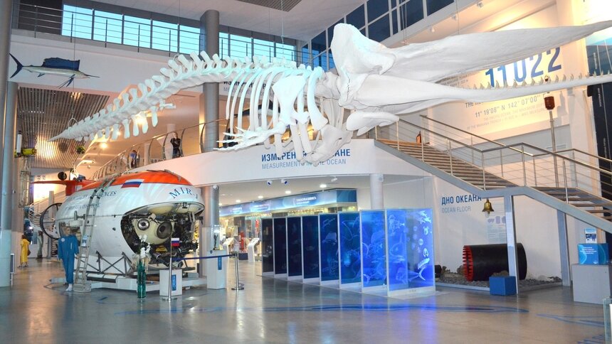 В Музее Мирового океана представят экспонаты возрастом 400 млн лет - Новости Калининграда