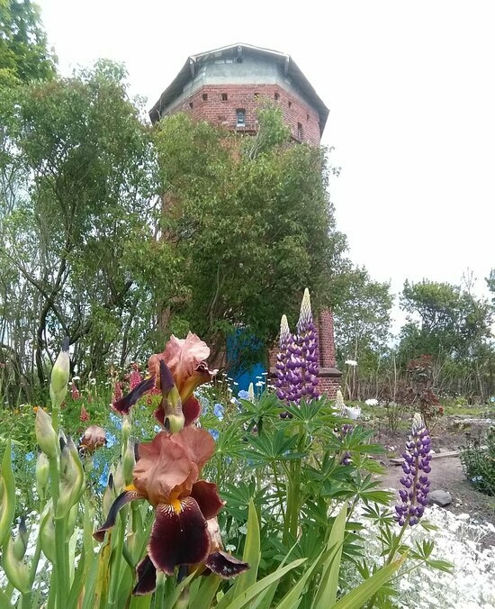 В Гурьевском районе восстановят старинную водонапорную башню - Новости Калининграда | Фото: КРОО &quot;Светлая башня&quot;