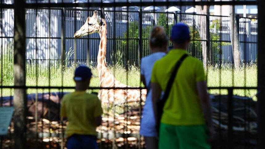 Зоопарк Калининграда с 22 июня закроет вход с улицы Чайковского - Новости Калининграда | Архив &quot;Клопс&quot;
