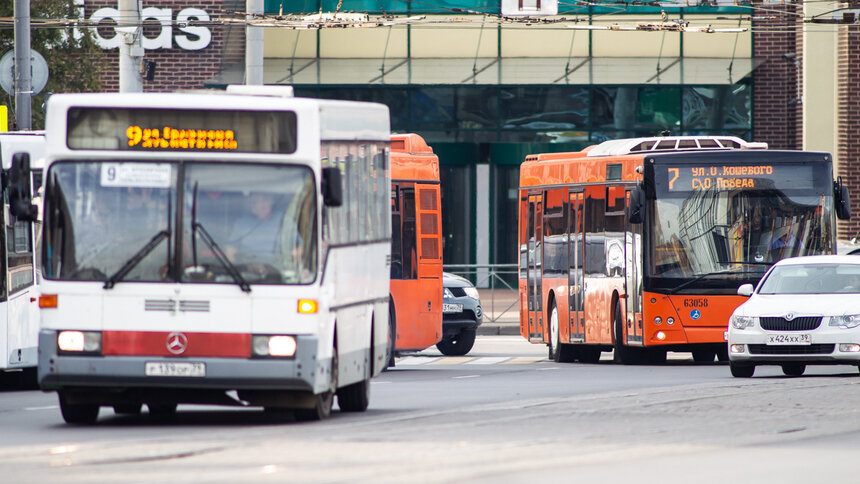 Власти запретят высаживать детей-безбилетников из автобусов: станет ли больше &quot;зайцев&quot; - Новости Калининграда | Фото: архив &quot;Клопс&quot;