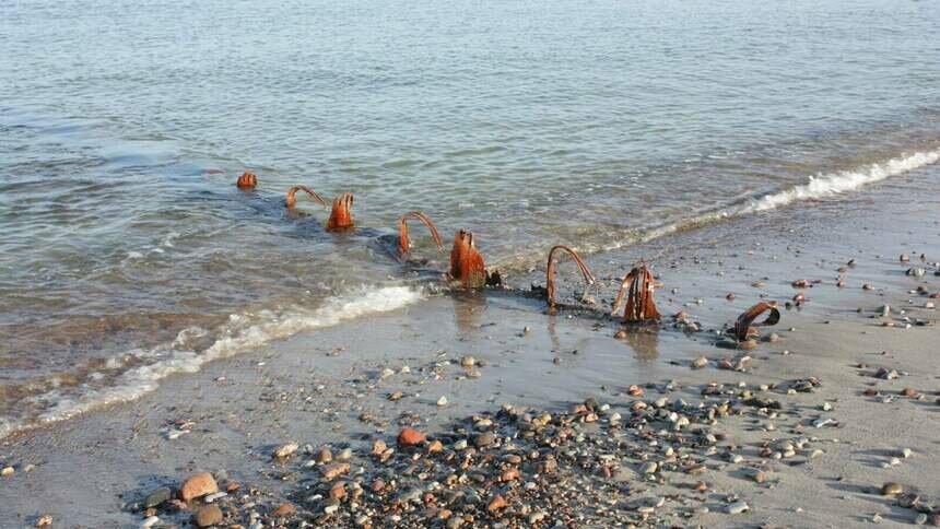 Администрация нацпарка &quot;Куршская коса&quot; предупредила о металлических бунах в море - Новости Калининграда | Фото: пресс-служба национального парка &quot;Куршская коса&quot;