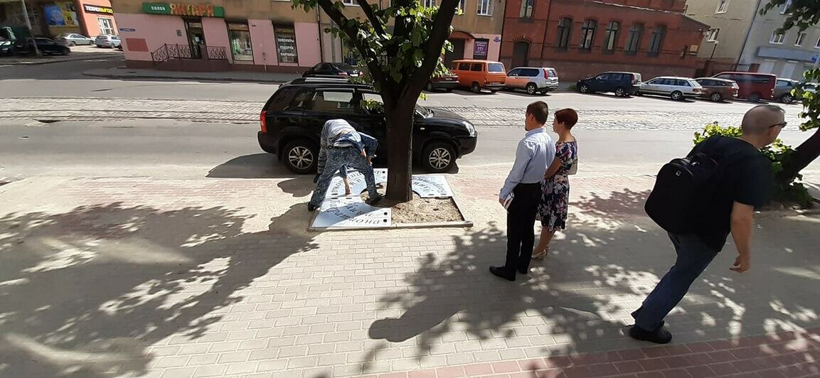 На Багратиона вокруг корней деревьев установили защитные решётки с названием улицы - Новости Калининграда | Фото: пресс-служба городской администрации / Facebook