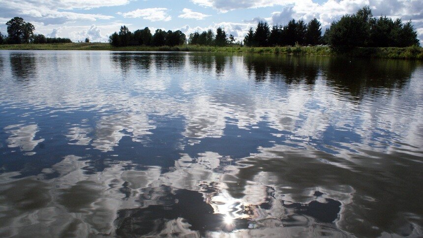 Утонул в день рождения: в Нестеровском районе погиб 30-летний житель Приморска - Новости Калининграда | Архив &quot;Клопс&quot;