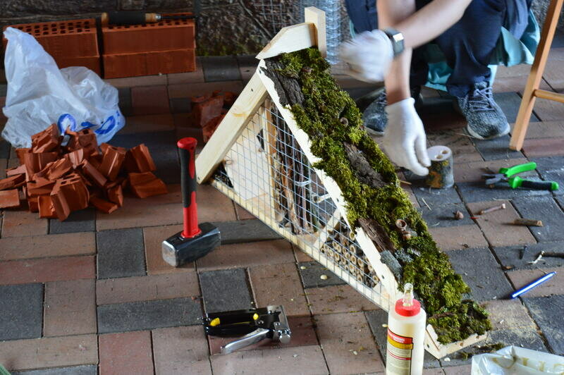 Многоэтажка и шале: калининградцы смастерили домики для насекомых - Новости Калининграда | Фото: &quot;Парковое кольцо&quot;