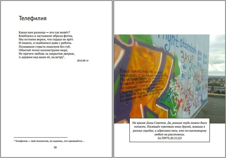 Калининградец, пишущий стихи на стенах домов, выпустил книгу с геометками - Новости Калининграда | Фото: Евгений Хоффман