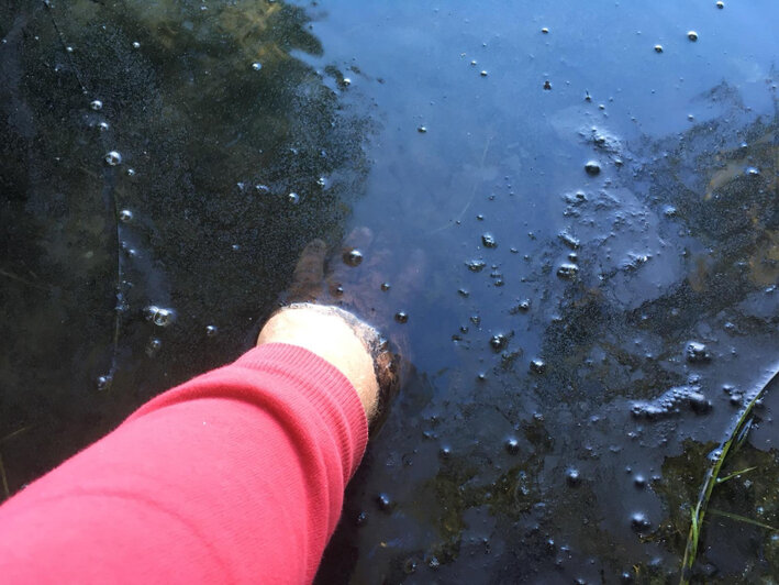 В озере Шенфлиз в Калининграде нашли угольную пыль - Новости Калининграда | Фото: сайт Общероссийского народного фронта