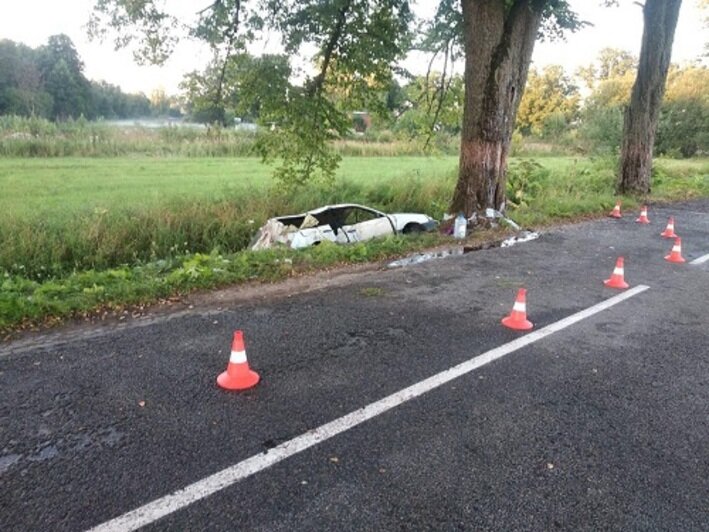 В Озёрском районе водитель Volkswagen врезался в дерево, 13-летний пассажир впал в кому  - Новости Калининграда | Фото: пресс-служба регионального УМВД