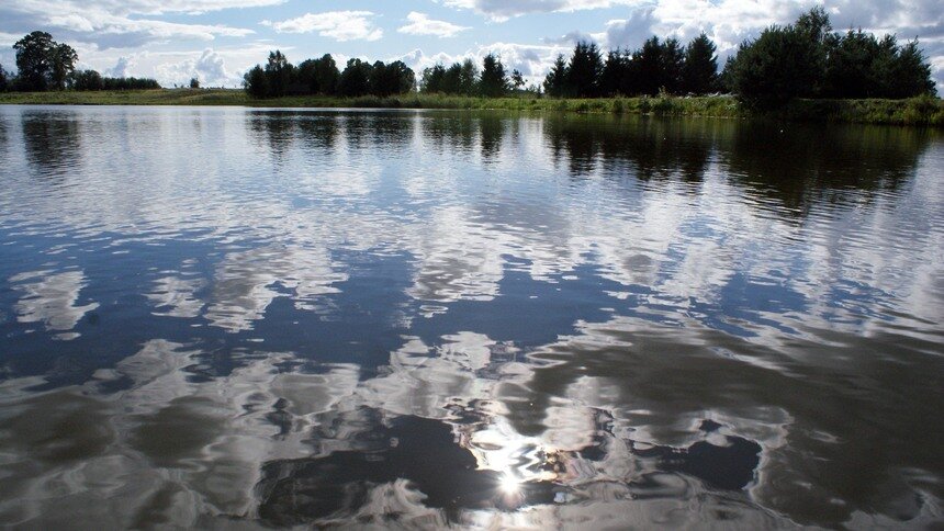 В Пелавском озере на глазах отдыхающих утонул мужчина - Новости Калининграда | Архив &quot;Клопс&quot;