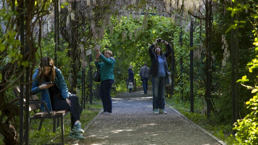 В Ботаническом саду Калининграда снова открылись оранжереи - Новости Калининграда | Фото: архив &quot;Клопс&quot;