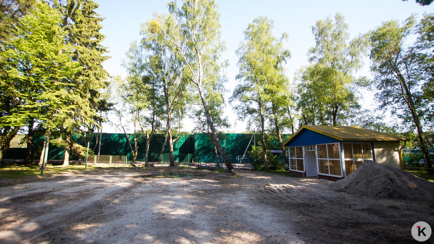 &quot;Идея хорошая&quot;: в Калининграде предложили осенью открыть детские лагеря  - Новости Калининграда | Фото: Архив &quot;Клопс&quot;