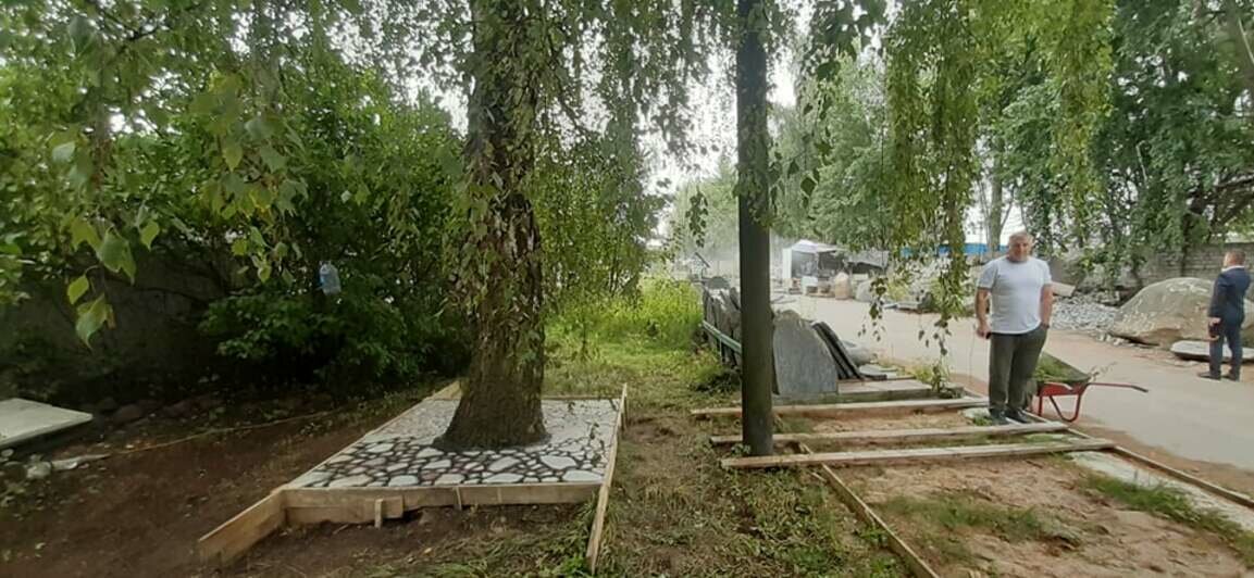 В мэрии рассказали, как защитят корни деревьев на ул. Багратиона - Новости Калининграда | Фото: администрация Калининграда / Facebook