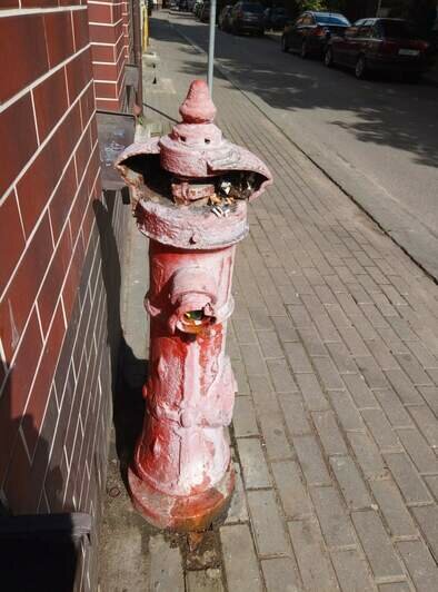 В Калининграде супружеская пара раскрашивает старинные пожарные гидранты и даёт им имена (фото) - Новости Калининграда | Фото предоставила Инга