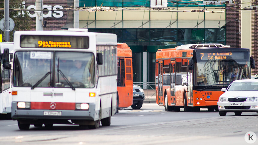 Региональные власти рассказали о планах по обновлению общественного транспорта в Калининграде - Новости Калининграда | Фото: Архив &quot;Клопс&quot;