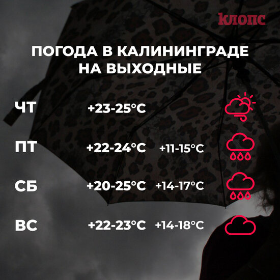 Синоптики рассказали о погоде в Калининграде на выходные - Новости Калининграда