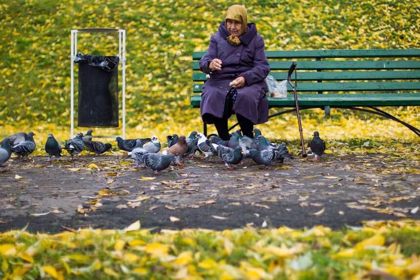В Калининградской области повысили прожиточный минимум для пенсионеров - Новости Калининграда | Архив &quot;Клопс&quot;