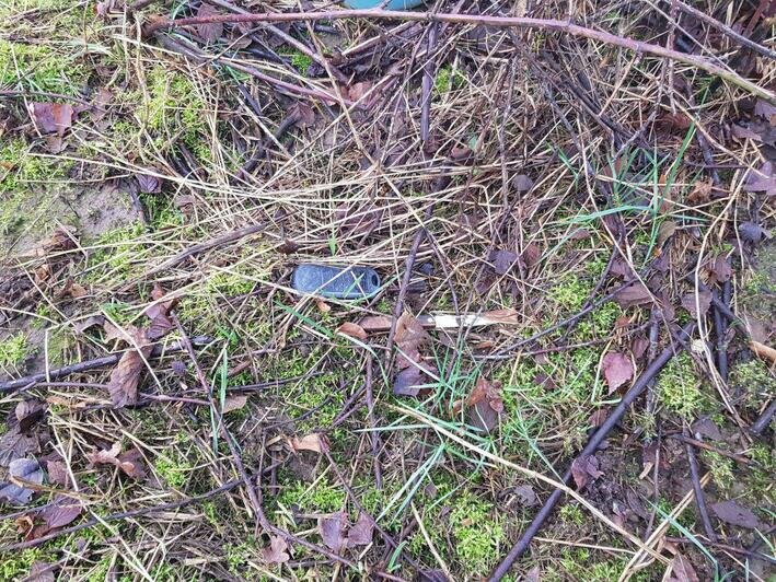 В зеленоградском лесу нашли тело грибника, пропавшего в октябре 2019 года - Новости Калининграда
